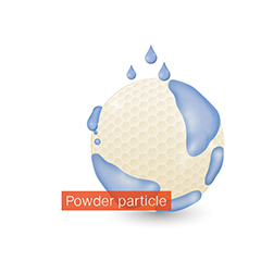 sprühgranulation-en-01 Powder particle - spray granulation