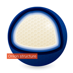 sprühgranulation-en-03 Onion structure - spray granulation