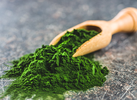 Pulver-Coating für längere Haltbarkeit